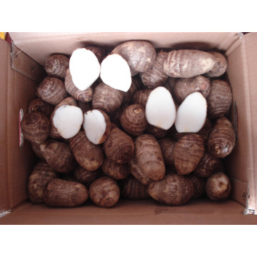 2014 China Fresh Taro